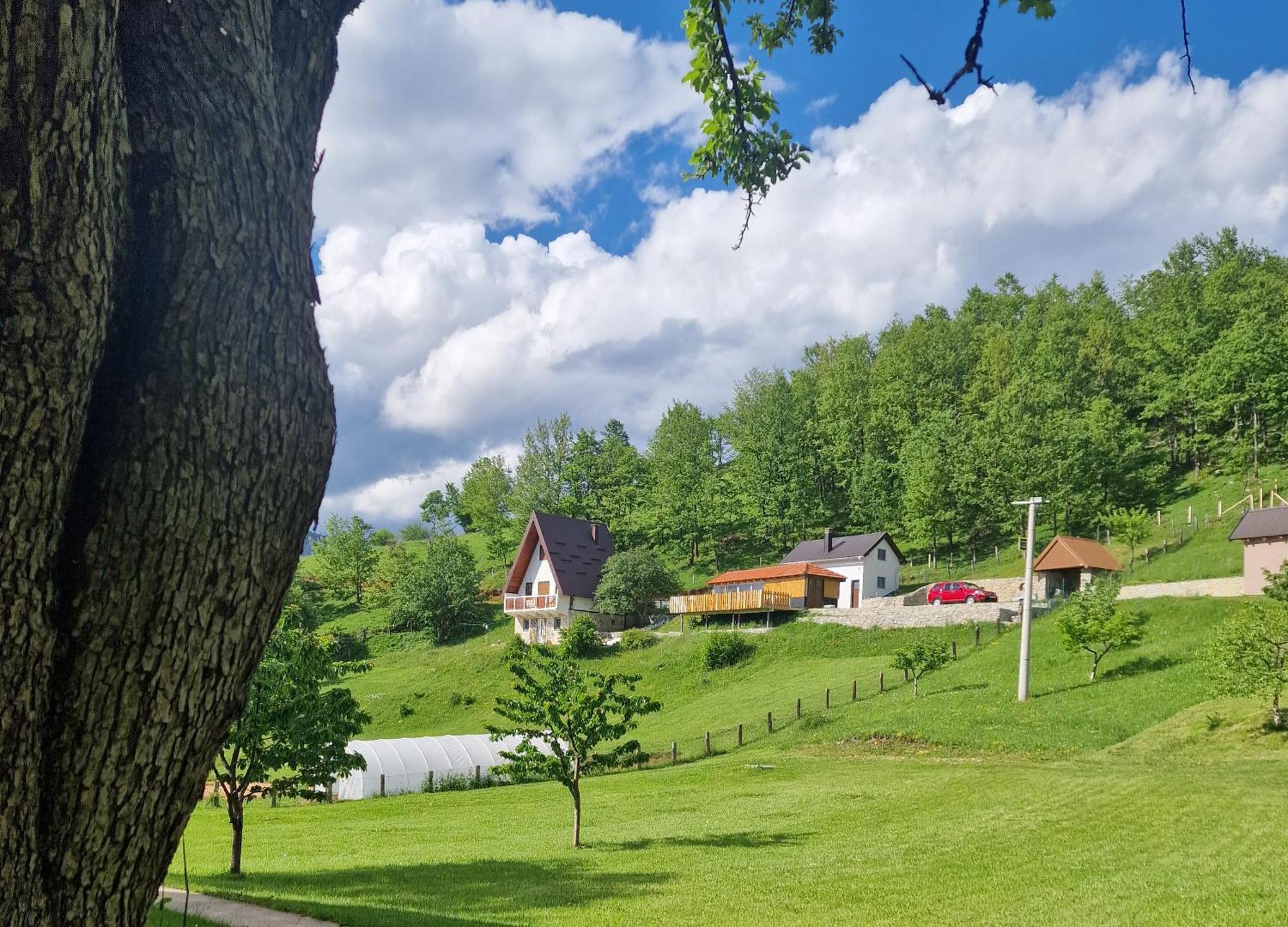 Apartmani Vukomanovo Мойковац Экстерьер фото